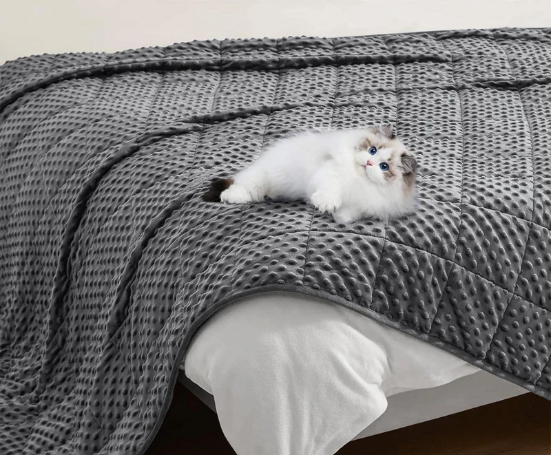 Polyester plush weighted blanket