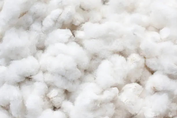 Cotton Insulation