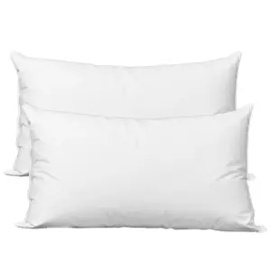 White Down Pillow