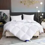 Couette en duvet d'oie blanche