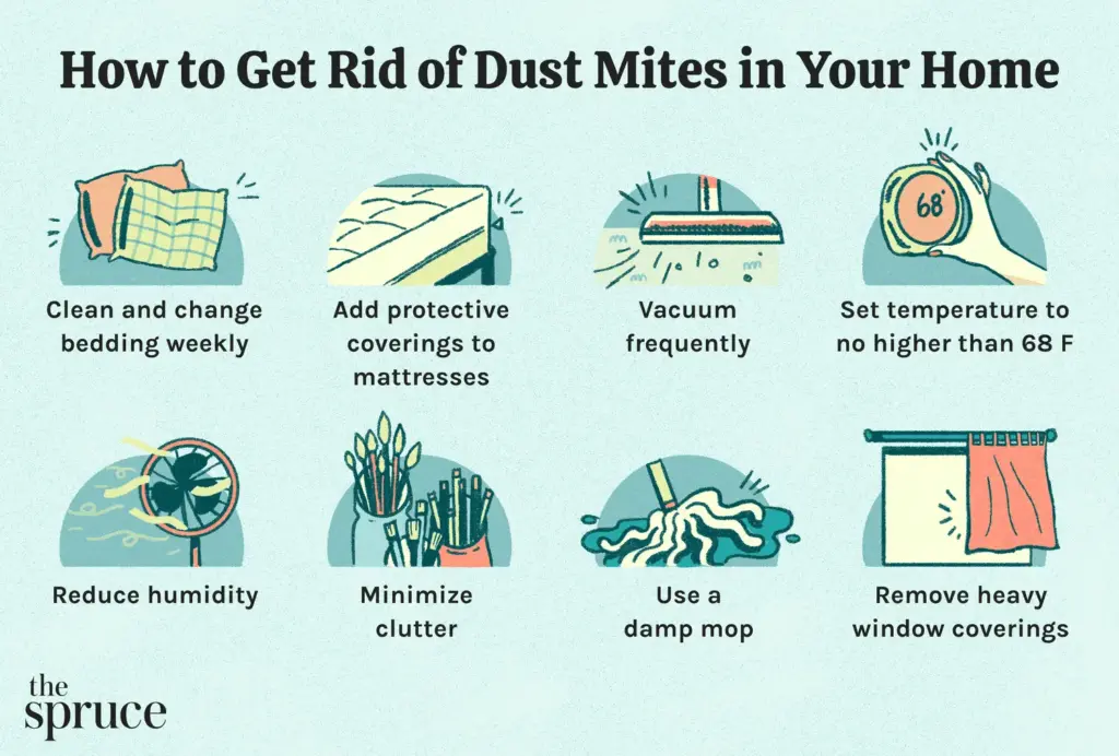 The Real Culprit: Dust Mites, Not Down