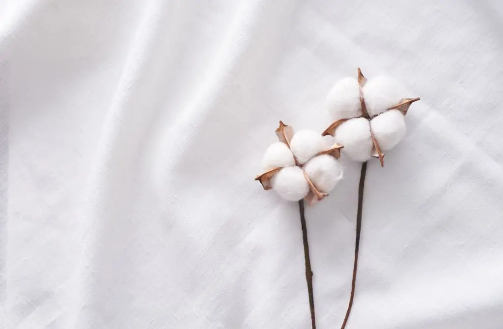 Why Are Some 100% Cotton Bed Sheets Softer Than Others?